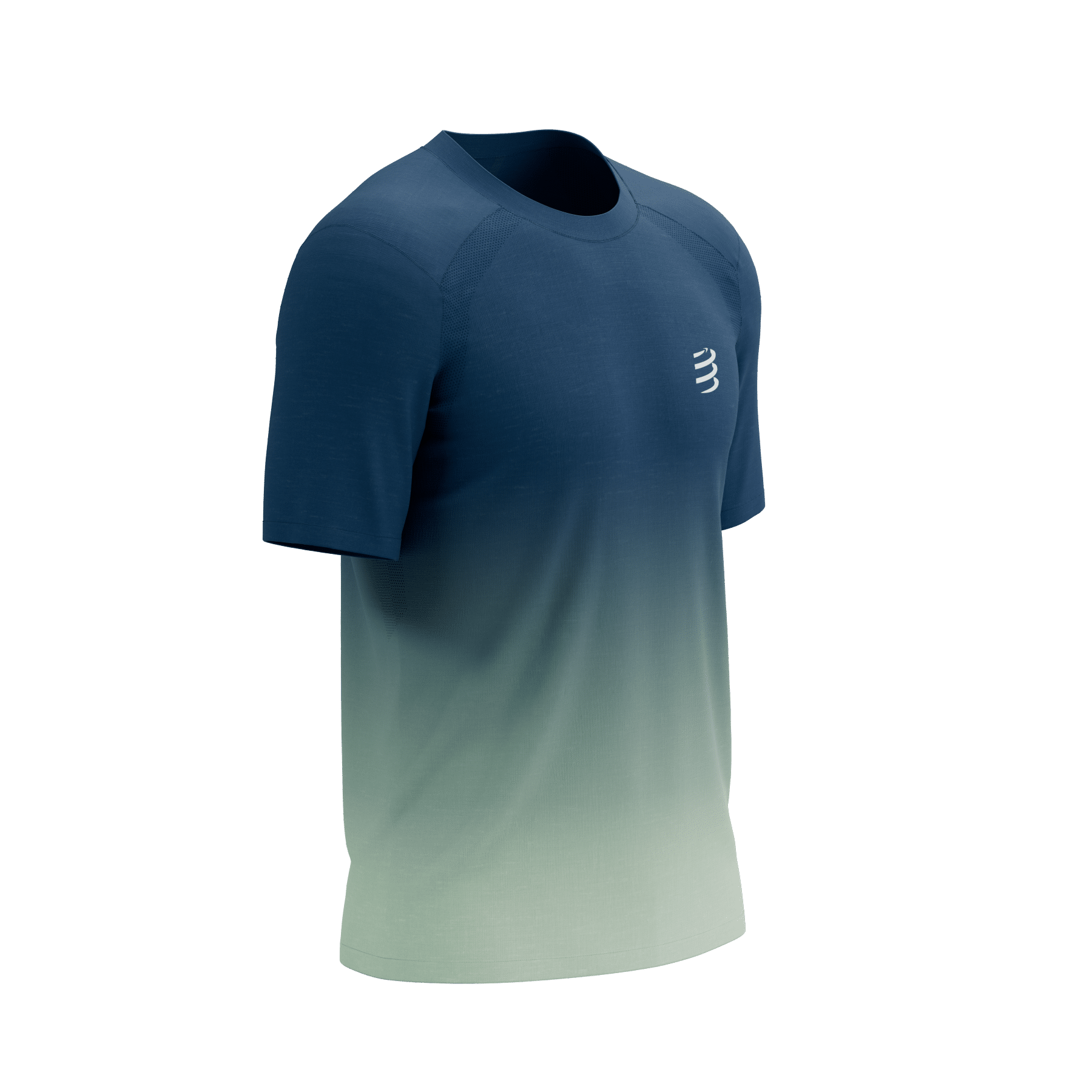 Compressport Performance SS T-shirt heren - BLAUW - Heren afbeelding
