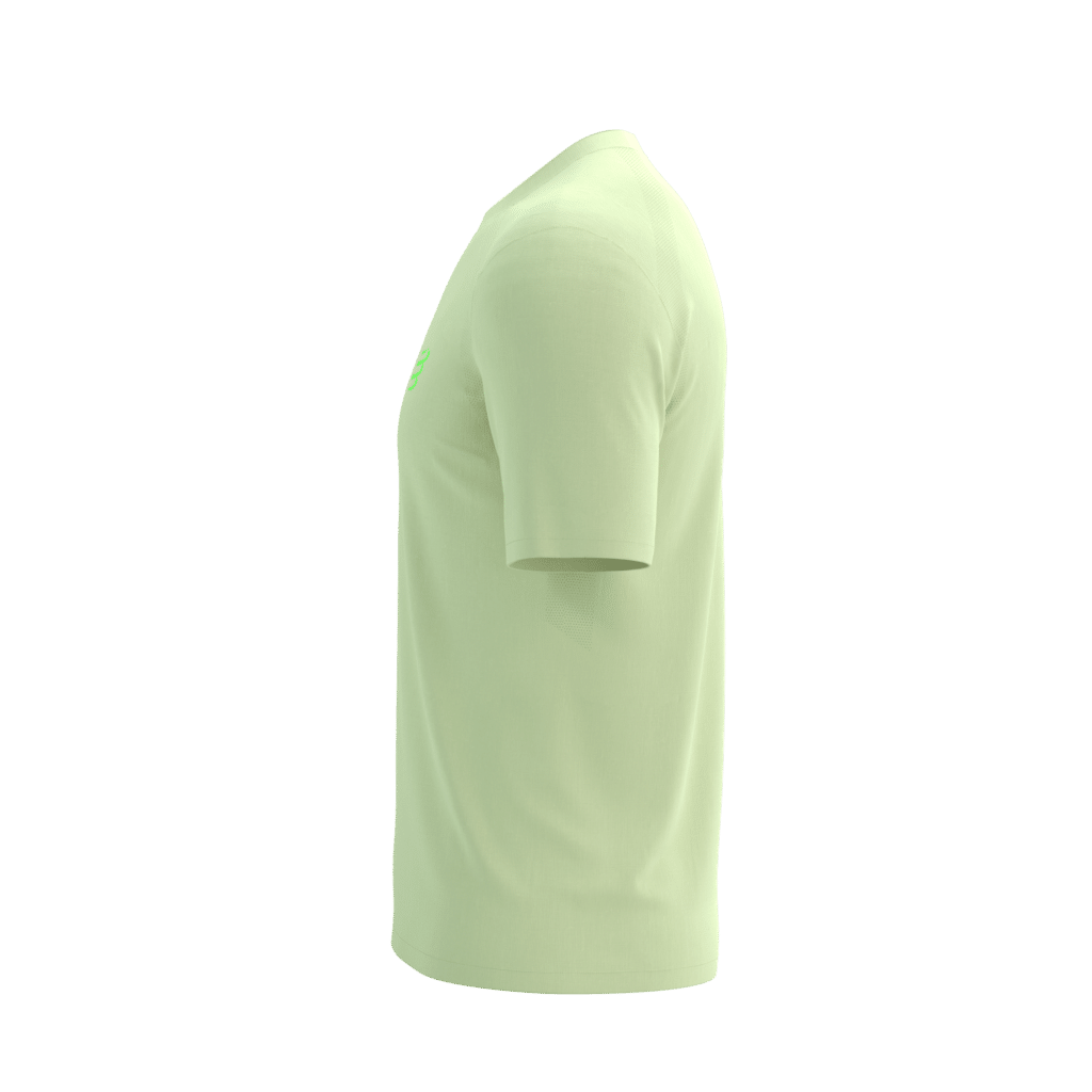 Compressport Performance ss t-shirt heren